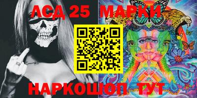 2c-b Кингисепп