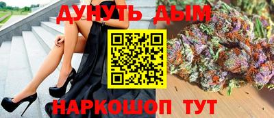 2c-b Кингисепп